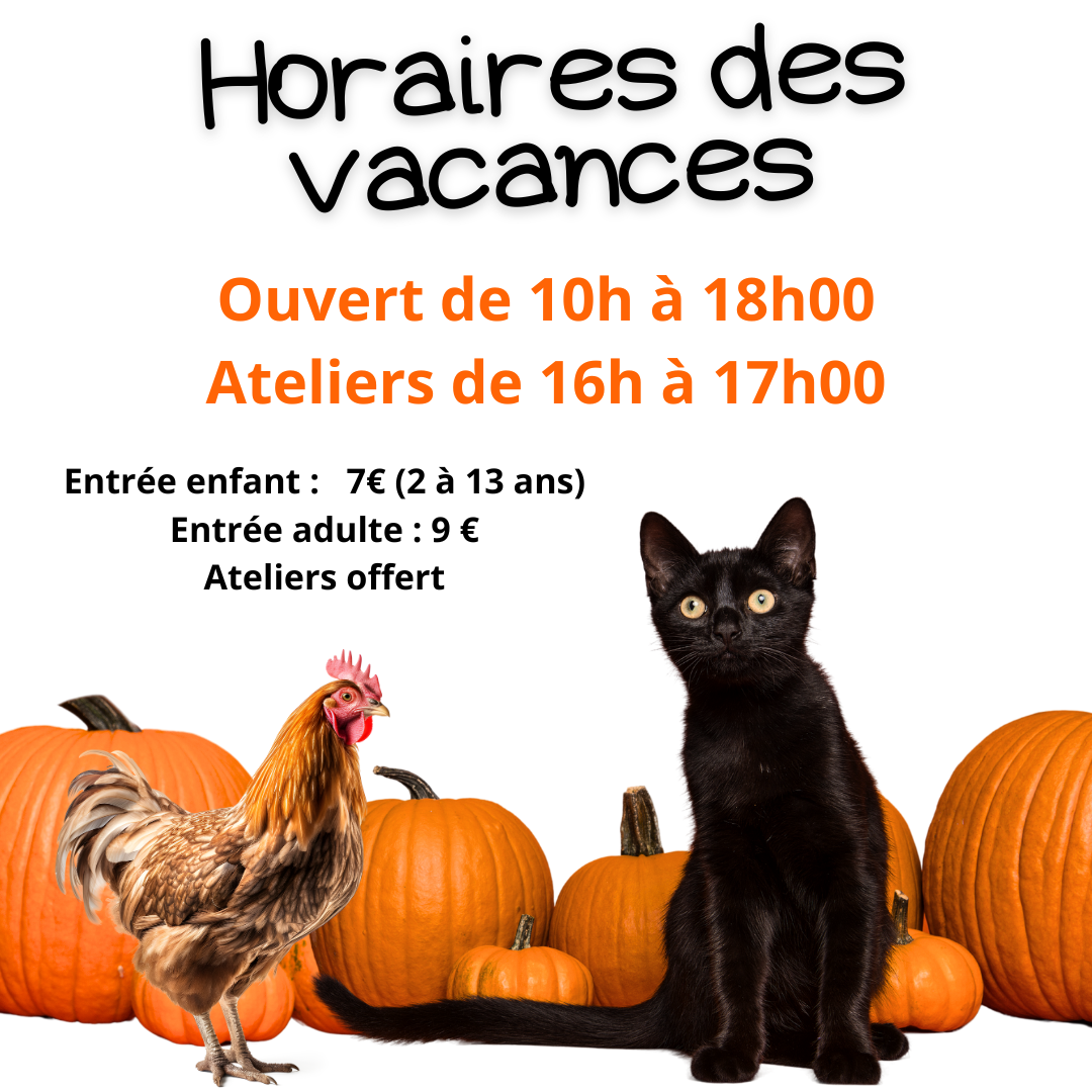 affiche horaire ferme toussaint